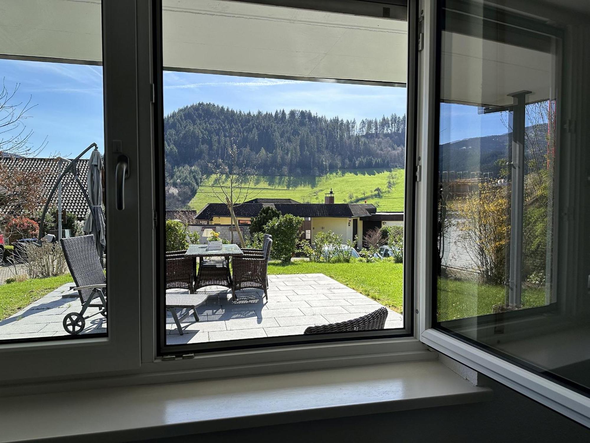 Haus Albi Apartment Waldkirch Exterior photo